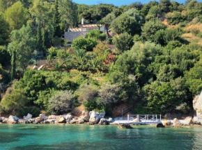 Alonissos Luxury Villa with Jacuzzi and Beach